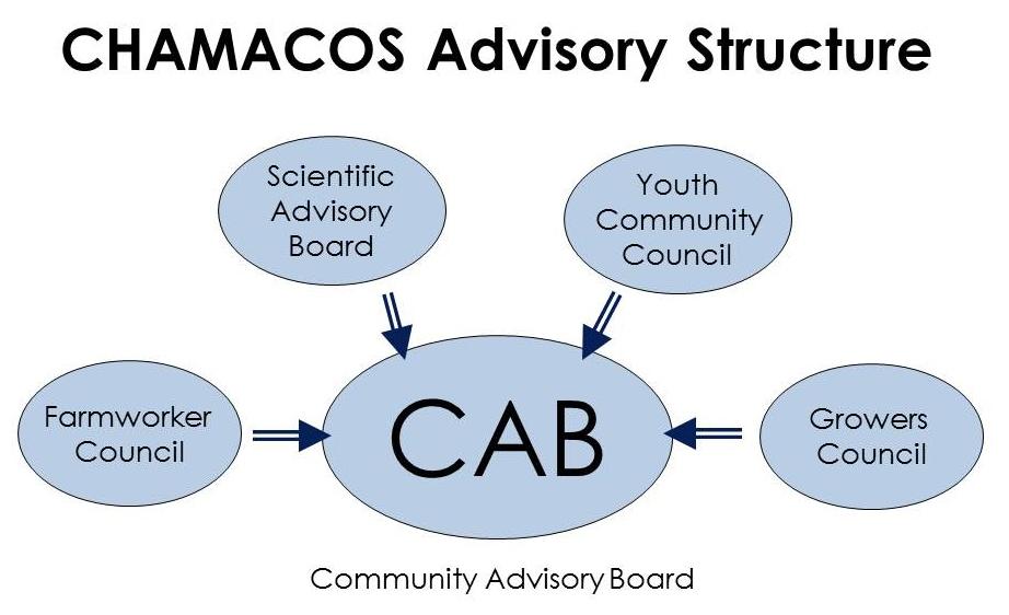 CHAMACOS Advisory Structure